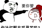 王者荣耀中心趴是什么梗？这个梗的含义是什么？