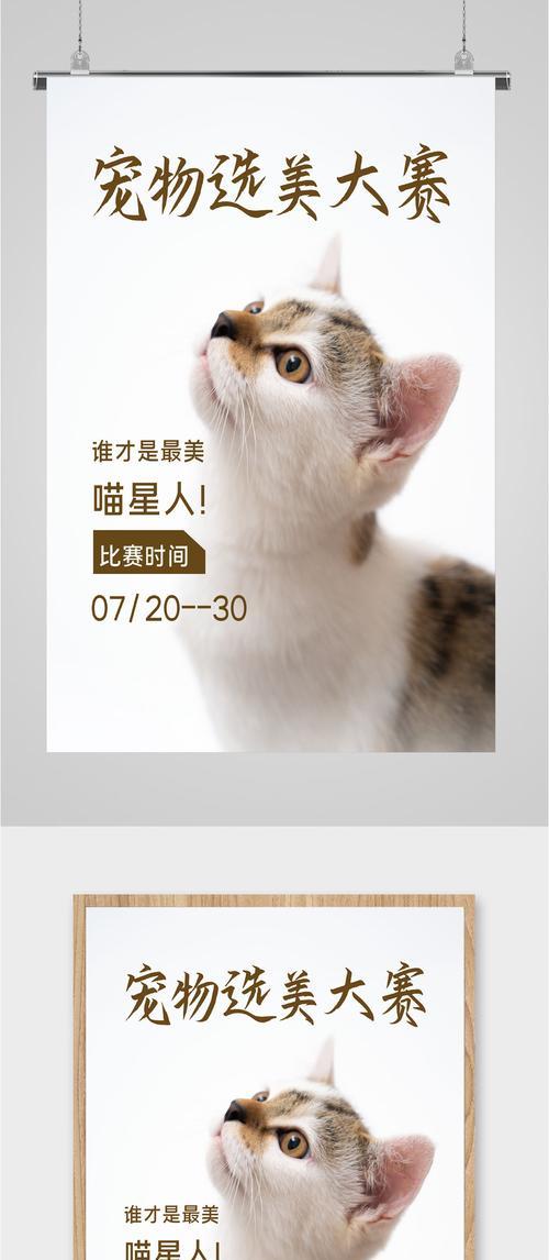 《以小森生活》猫咪选美大赛，大家一起来玩！（用心养猫、猫咪选美、多彩活动、幸福生活、游戏乐趣）