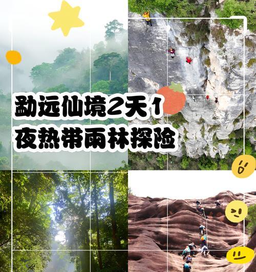 热带雨林探险之旅如何攻略？乐趣揭秘中有哪些要点？