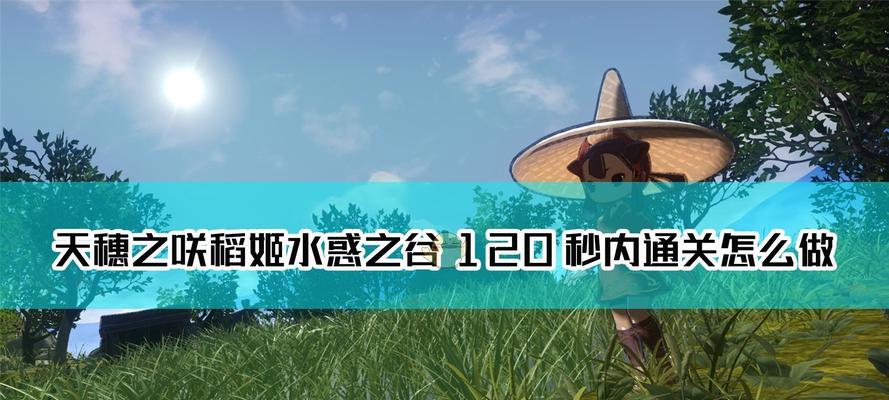 《天穗之咲稻姬》中水稻种植技巧是什么？如何提高种植效率？